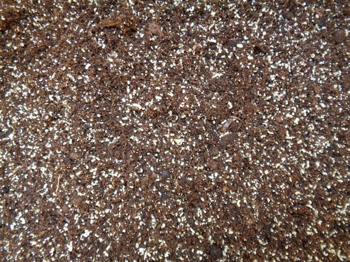 Substrat plante carnivore