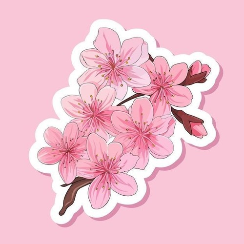 Sticker sakura 9x9 fleurs - sakura, cm