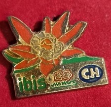 Pins Ibis