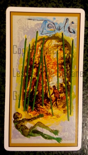 Salvador dali lame tarot - dali,