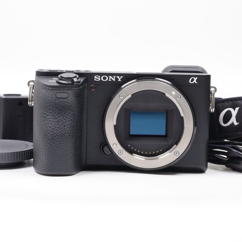 Appareil photo sans - , miroir