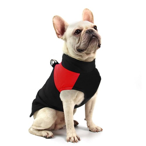 Manteau pour chien hiver - pour, d'hiver
