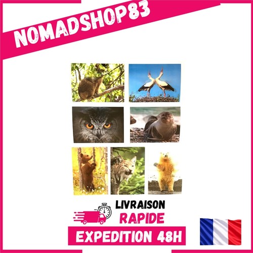 Cartes postales animaux - cartes,