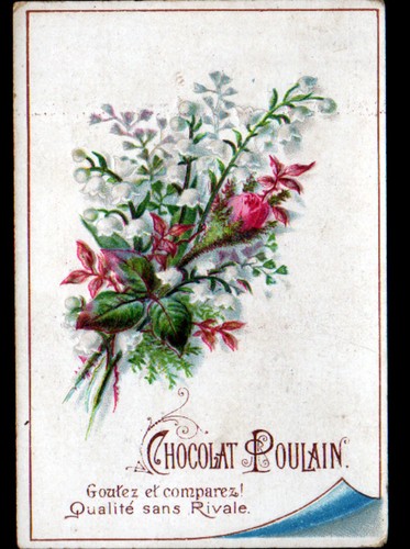 Image chromo chocolat - chromo, poulain