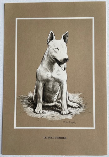 Chiens race le - chiens,