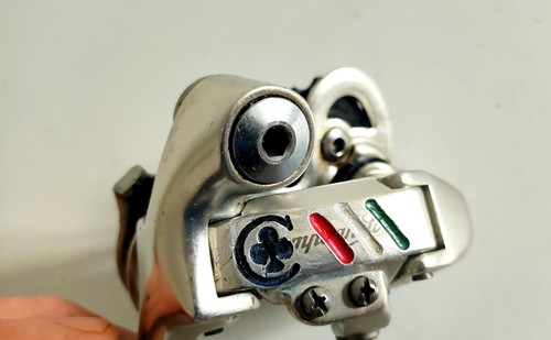Colnago panto campagnolo rear - colnago,