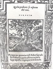 Olivier 1551 Arbre de Pallas