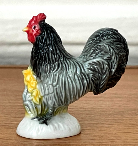 Magnifique fève coq - magnifique,