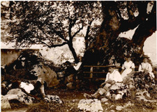 Autriche Tyrol Des Tyroliens Et Tyroliennes Se Reposent Au Pied D'Un Arbre 