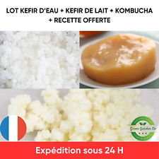 Lot Kombucha Scoby + Kéfir de fruits 30g + Kéfir de lait 10g + recettes incluses