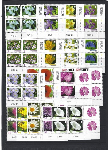 Guernesey 2008 fleurs - guernesey, 2008-9