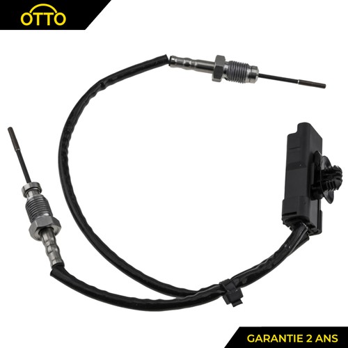 Capteur température des - , gaz