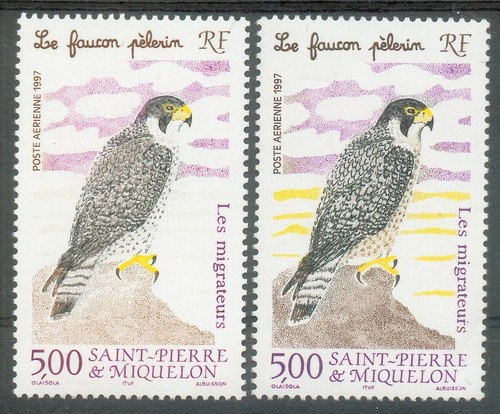 Pierre miquelon 76a - st, neuf