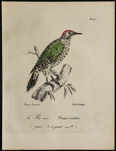1830 pic vert rare - -,