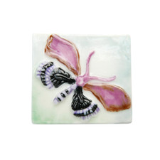 Feve Papillon d'après Emile