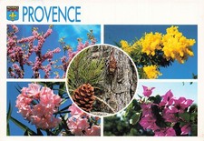 83 SAINT MAXIMIN FETE FORAINE DE ST MAX