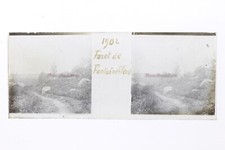 Forêt de Fontainebleau France Photo Plaque Stereo P9P3n8 Vintage 1902