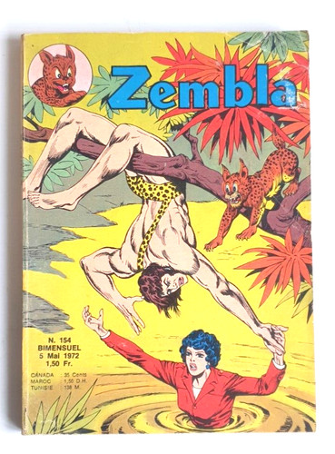 Petit format zembla - bd,