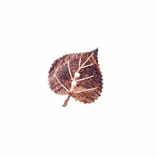 10x bouton vraie - bouton, de