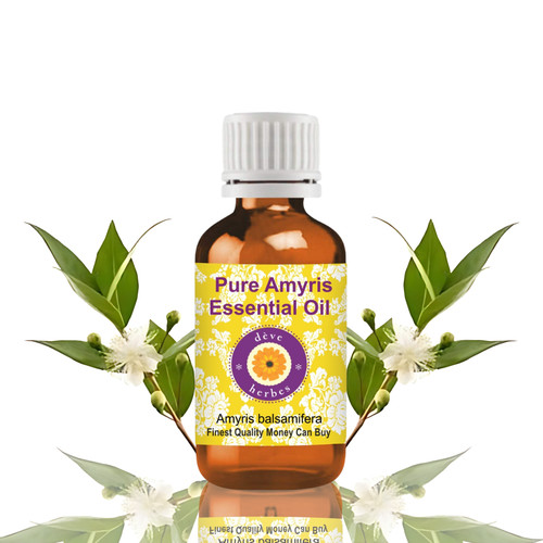 Huile essentielle amyris - huile, d'amyris