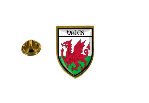 Pins pin badge - pins,
