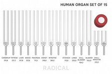 Diapasons pour organes humains