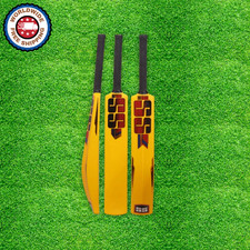 Batte de cricket en plastique