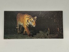 Nestlé MERVEILLES DU MONDE Carte N°223 "le tigre" b