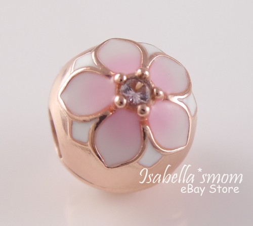 Magnolia bloom authentic - magnolia,