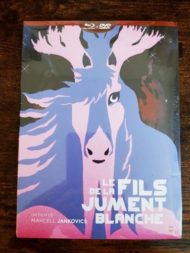 Fils jument blanche - la,