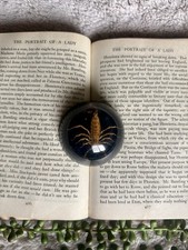 Vintage Resin Encased Real