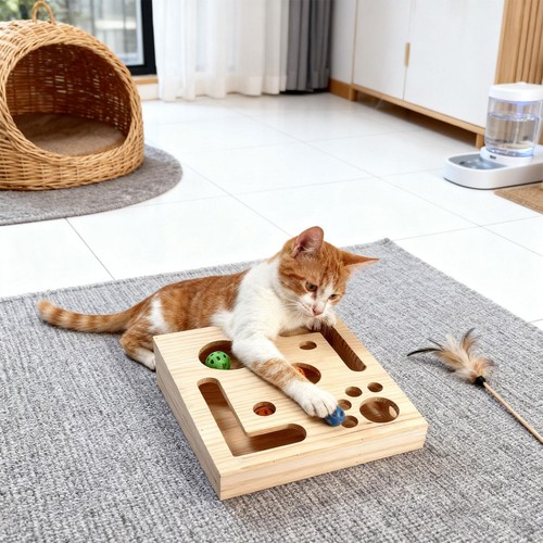Jouet interactif pour chat - pour,