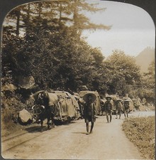 JAPON - PHOTO-STEREO - 1901  :  L'EXPRESS DE NIKKO - UN TRAIN A BOEUFS - 2