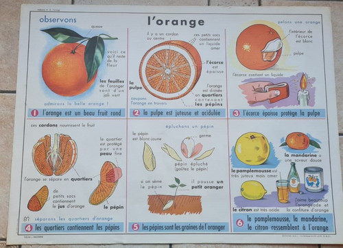 Ancienne carte ecole - ancienne,
