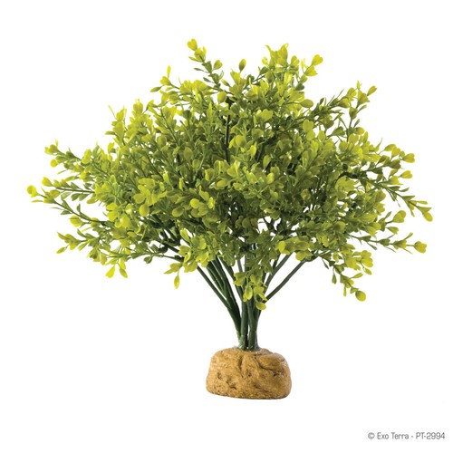 Exo terra plante terrarium - terra,
