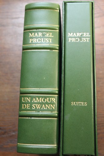 Marcel proust amour de - amour,