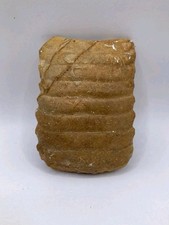 Plaque buccale fossilisée