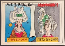 Carte postale Humoristique - FAIT-IL BEAU EN NORMANDIE ? (200)