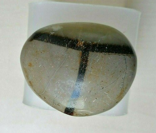 Galet septarian septaria - galet, de