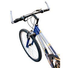 Paire Appendices Courte Cornes