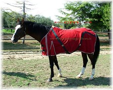 Couverture pour Cheval en