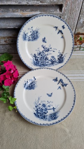 Anciennes plates terre de - anciennes,