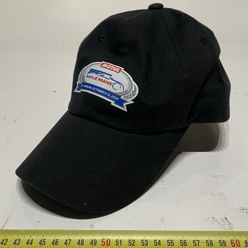 Imsa petit mans 2024 winner - le,