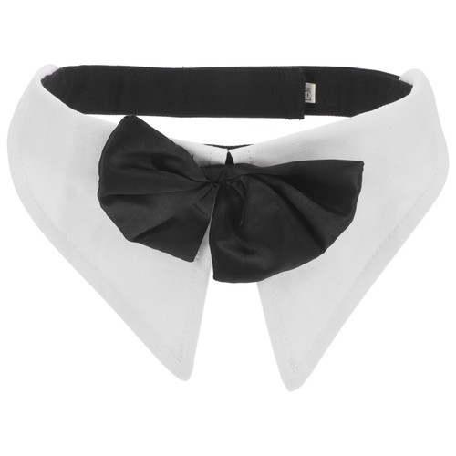 Collerette pour chat chien - pour,