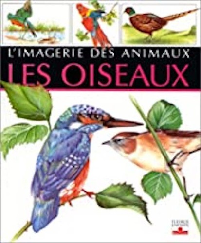 Imagerie des animaux tome - l'imagerie,