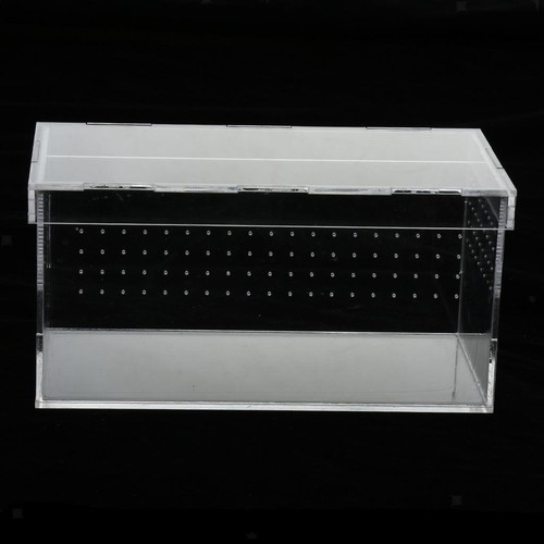Arylic reptile amphibian - &,