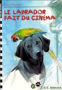 Labrador fait cinéma - labrador,