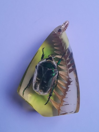 Bijoux insecte pendentif - insecte,