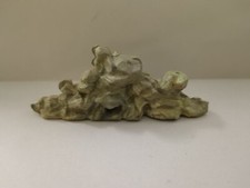 STARLUX western indien camp