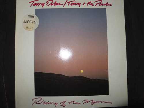 Vinyl tours terry - terry,